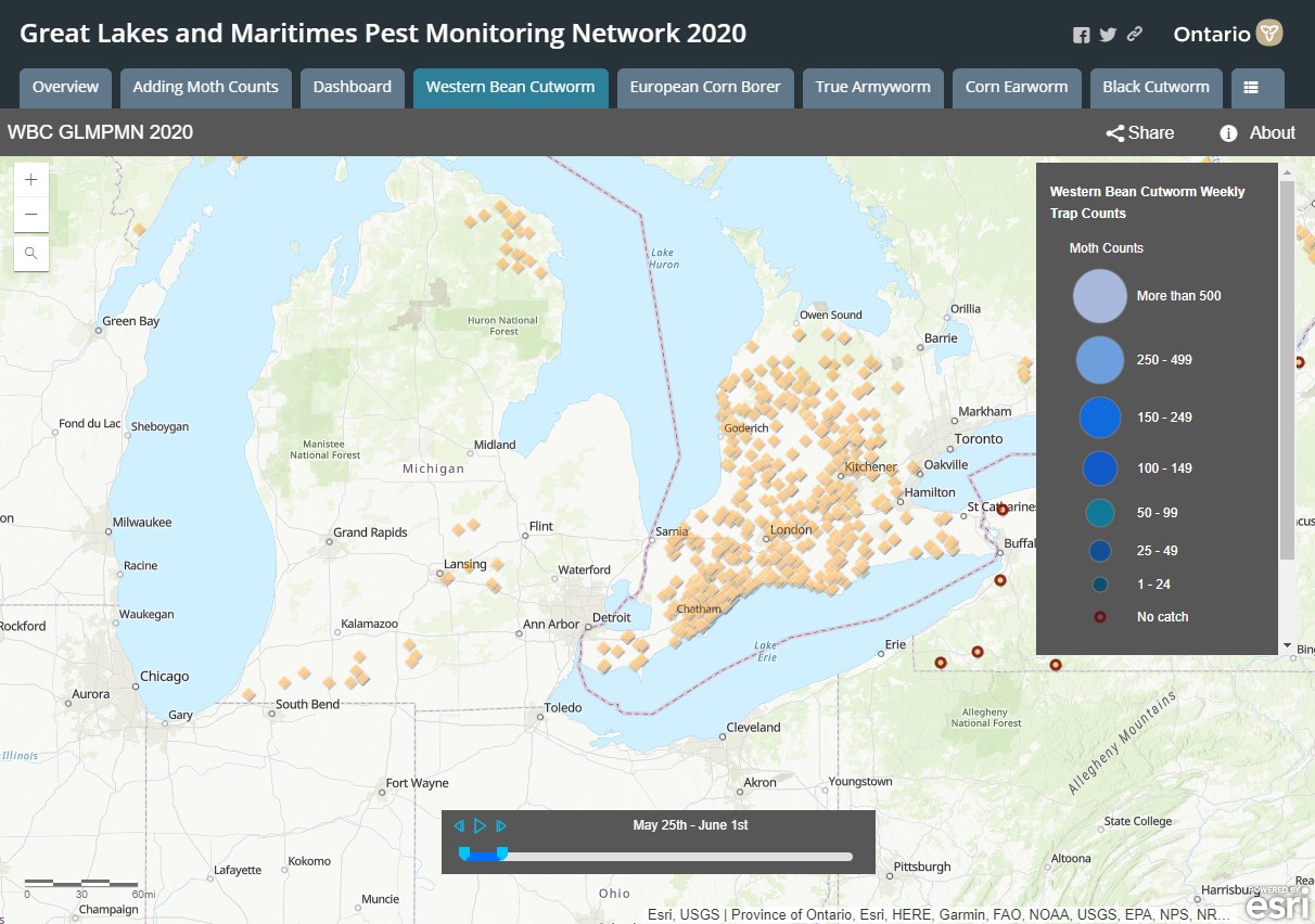 Screen shot of the Great Lakes and Maritimes Pest Monitoring Network website.